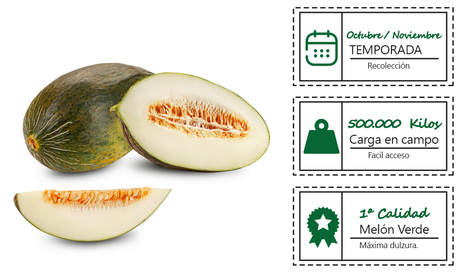 Melon Verde